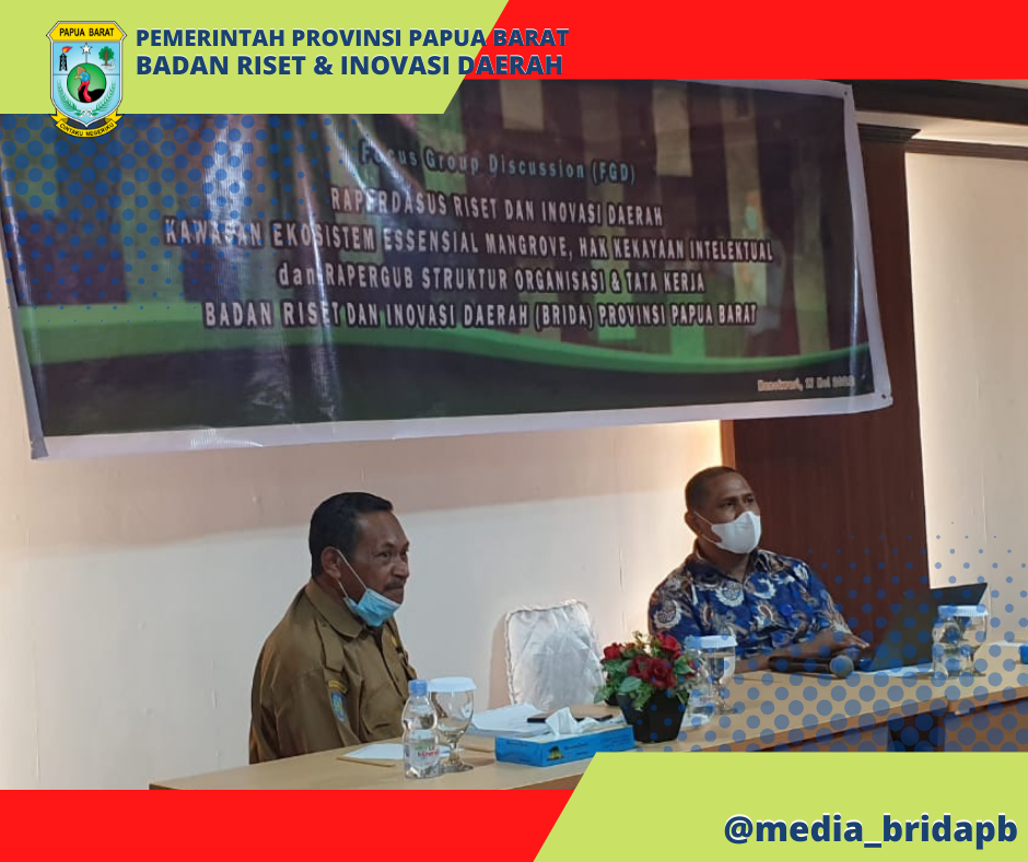 , Kepala Bidang Sosial Pemerintahan (Sospem) Balitbangda Provinsi Papua Barat Ir. Abdul Haviedz Fatamasya, M.Si 
