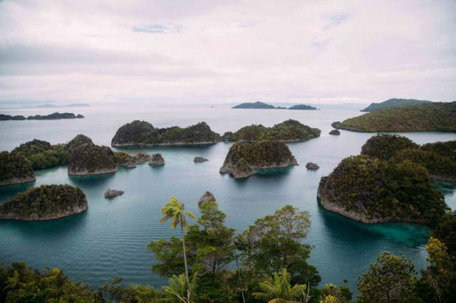 Fam Archipelago: Chip lain yang memukau dari Raja Ampat