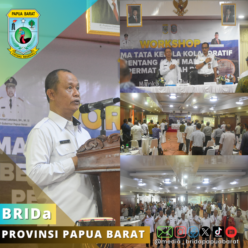 Workshop Skema Tata Kelola Kolaboratif Collaborative Governance  Bentang Alam Mahkota Permata Tanah Papua